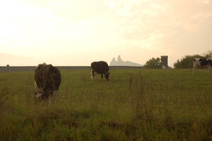 an1_040453.jpg