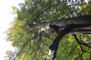 an1_040488.jpg