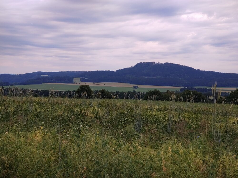 Ostaš