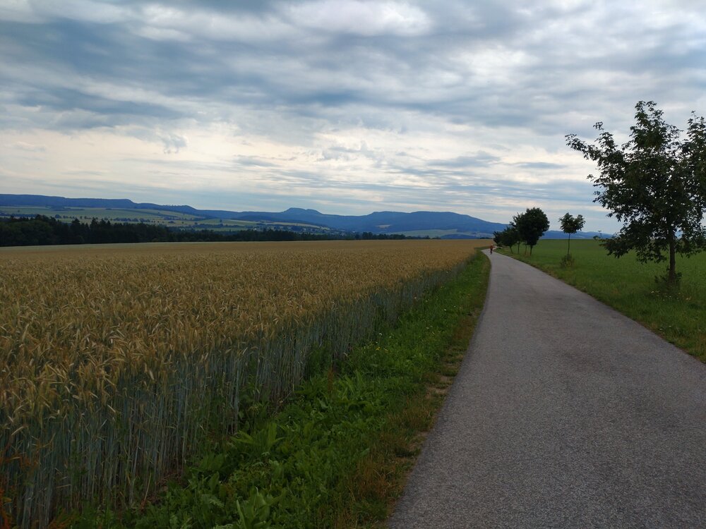 Před Petrovicemi