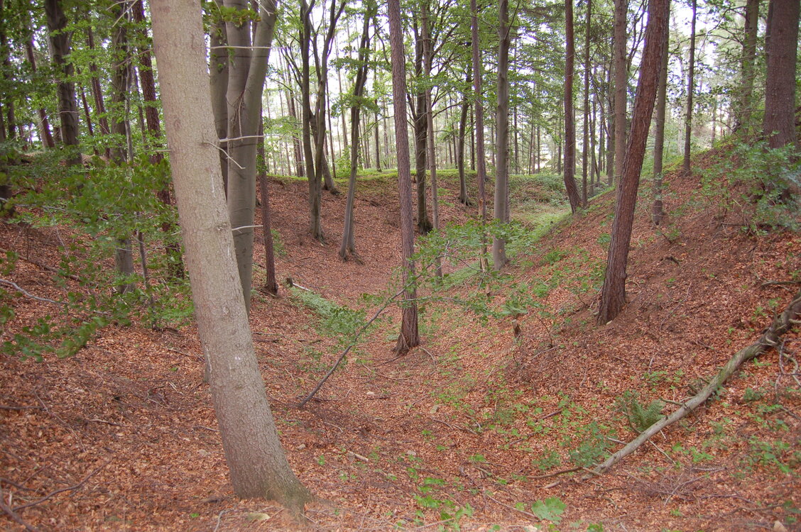 an1_004987.jpg