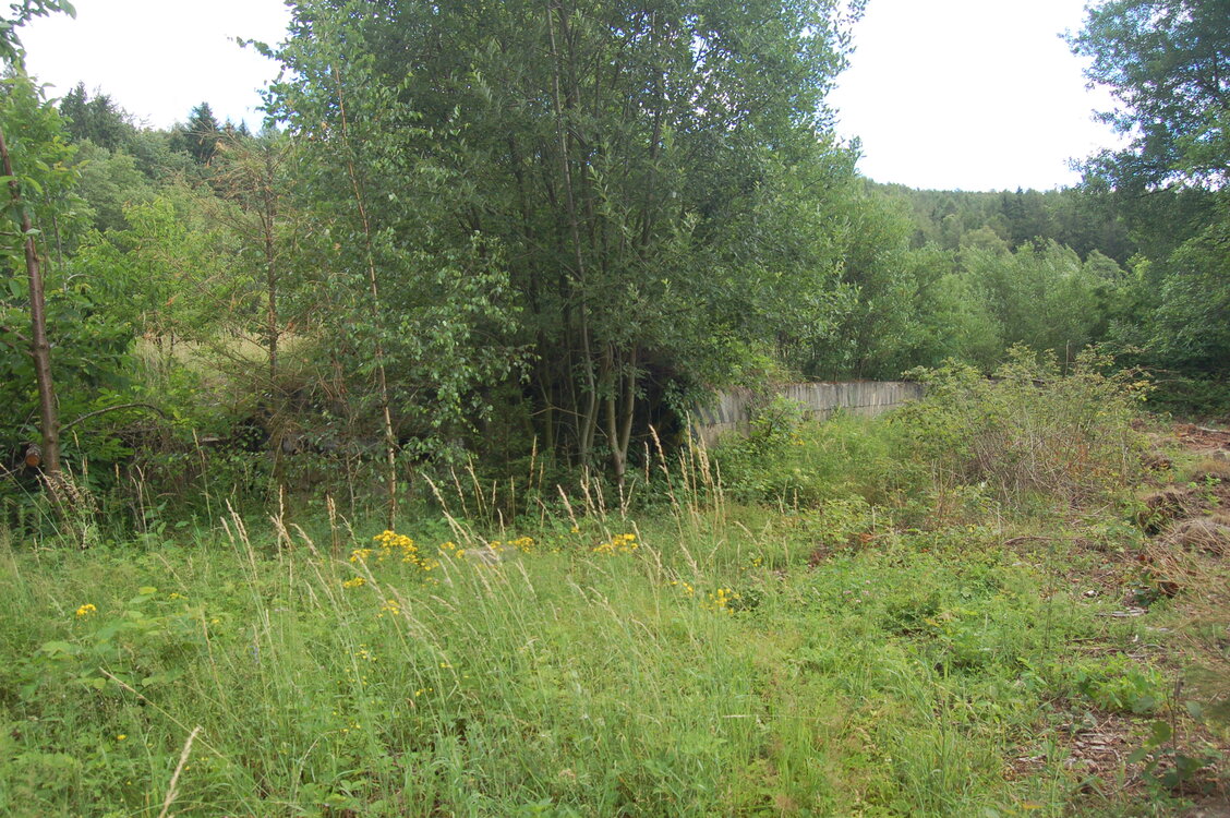 an1_004992.jpg