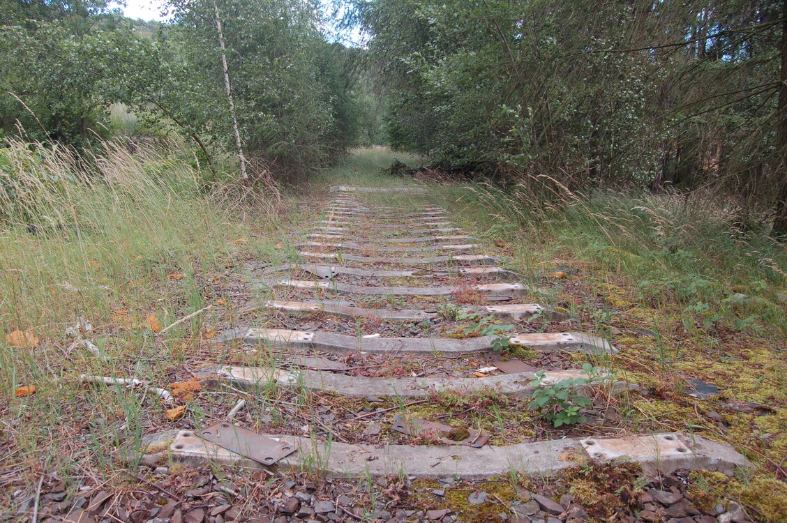 an1_004994.jpg