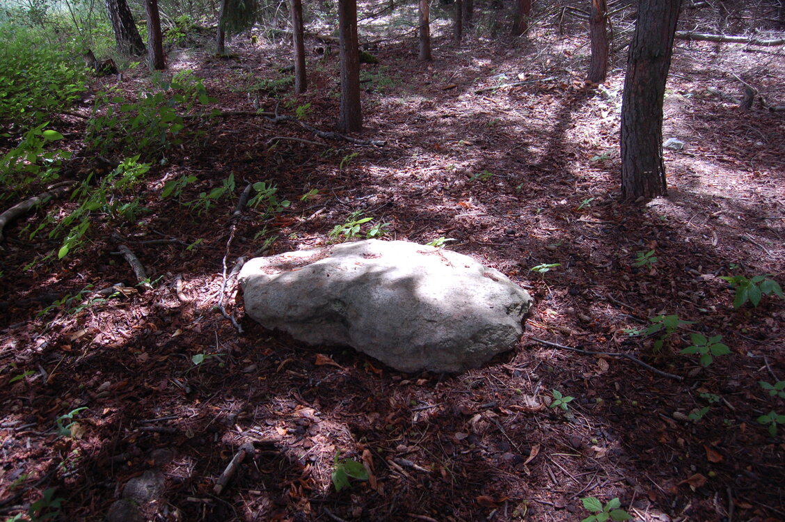 an1_005003.jpg
