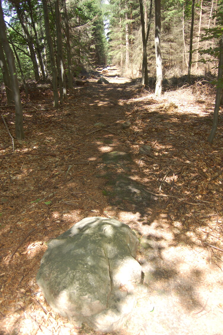 an1_005005.jpg