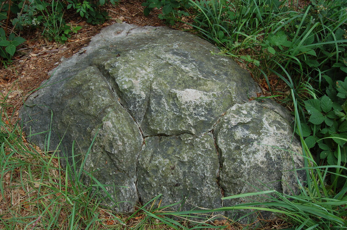 an1_005006.jpg