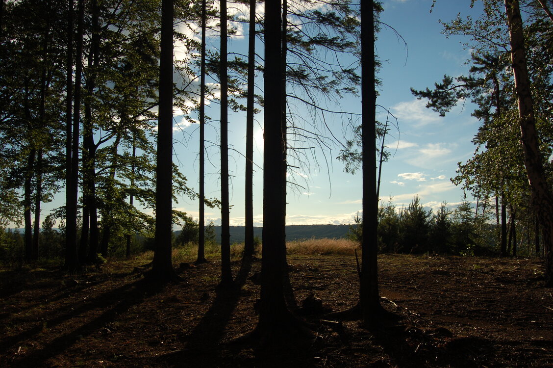 an1_005009.jpg
