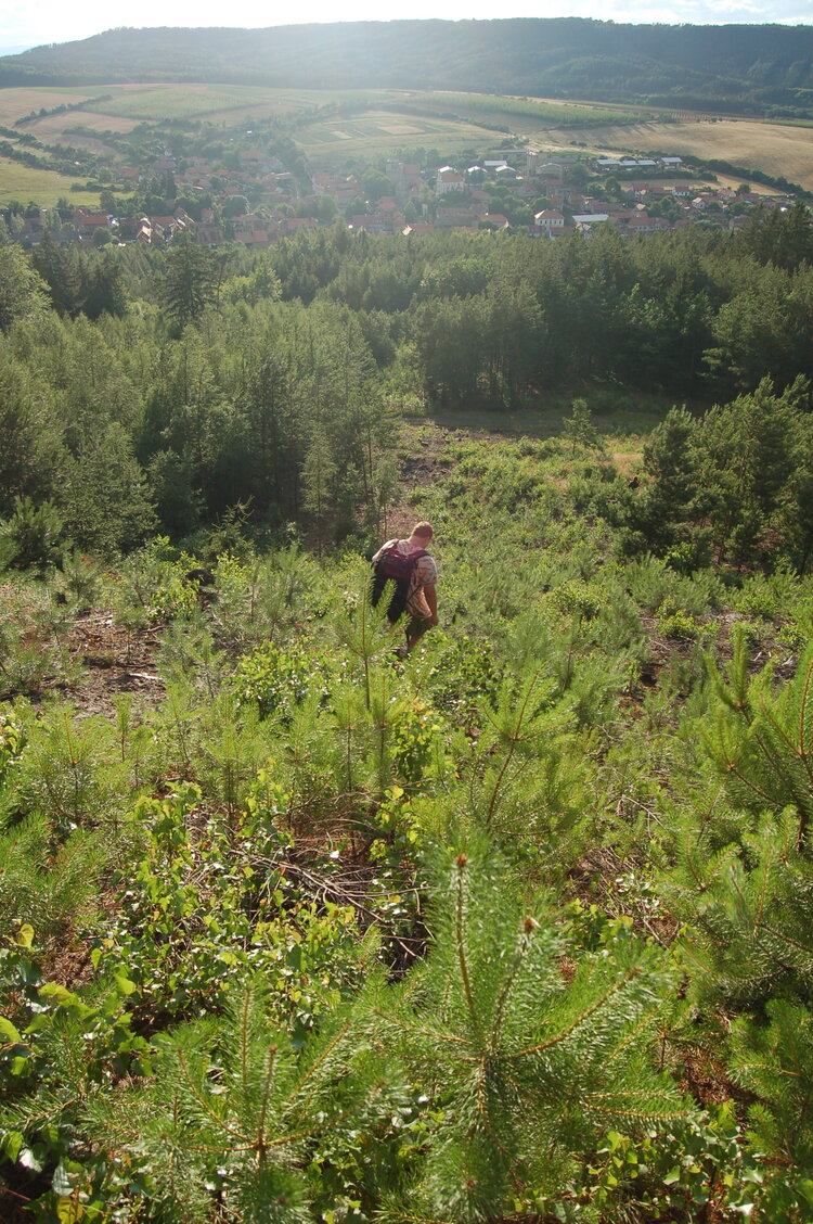an1_005010.jpg