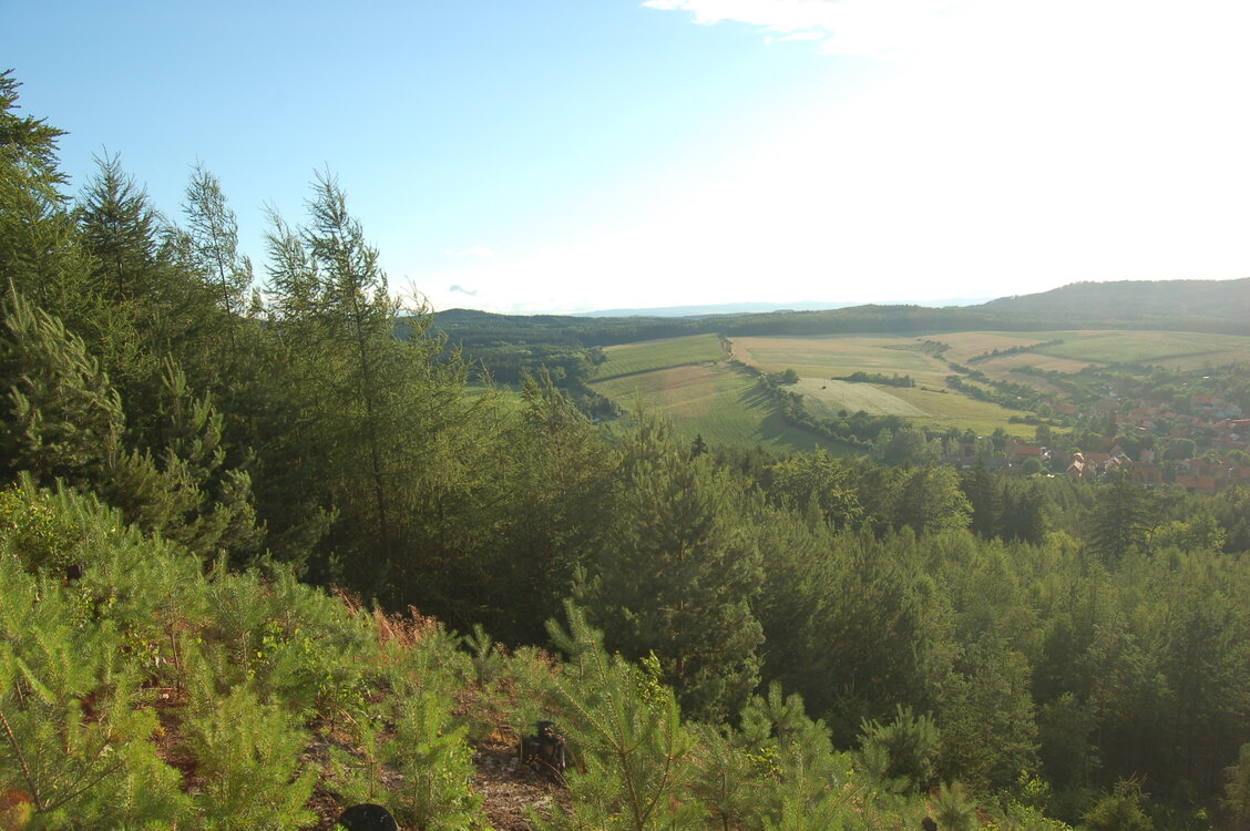 an1_005012.jpg