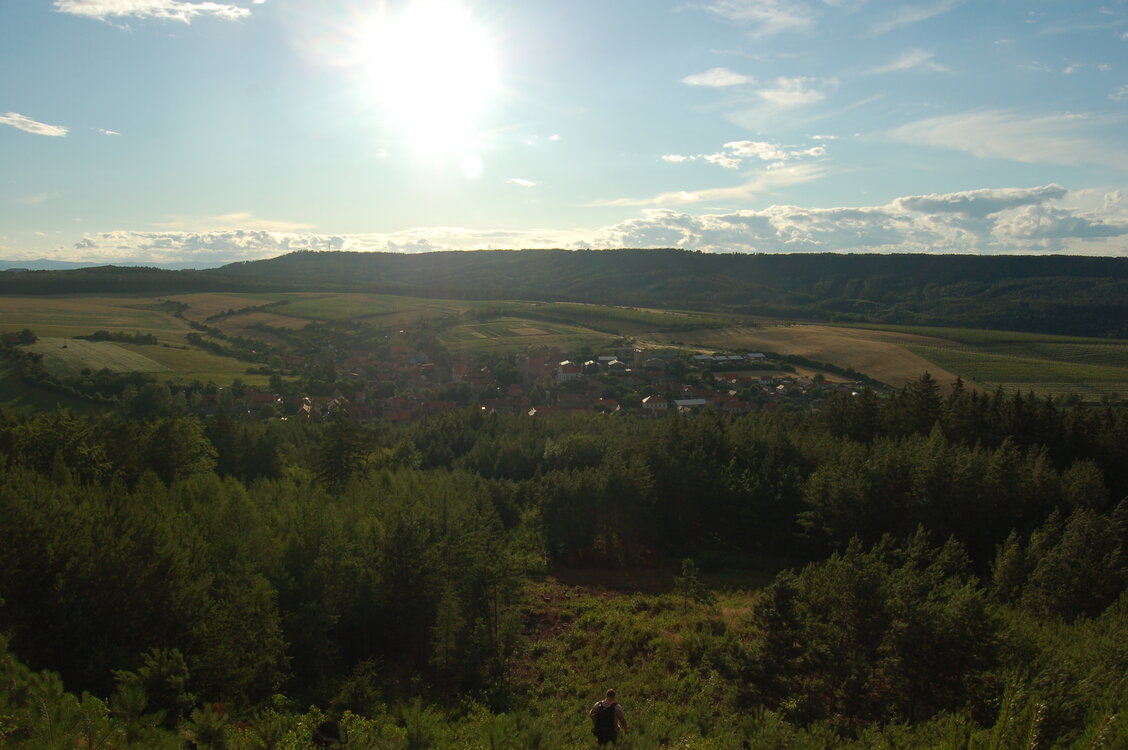 an1_005013.jpg