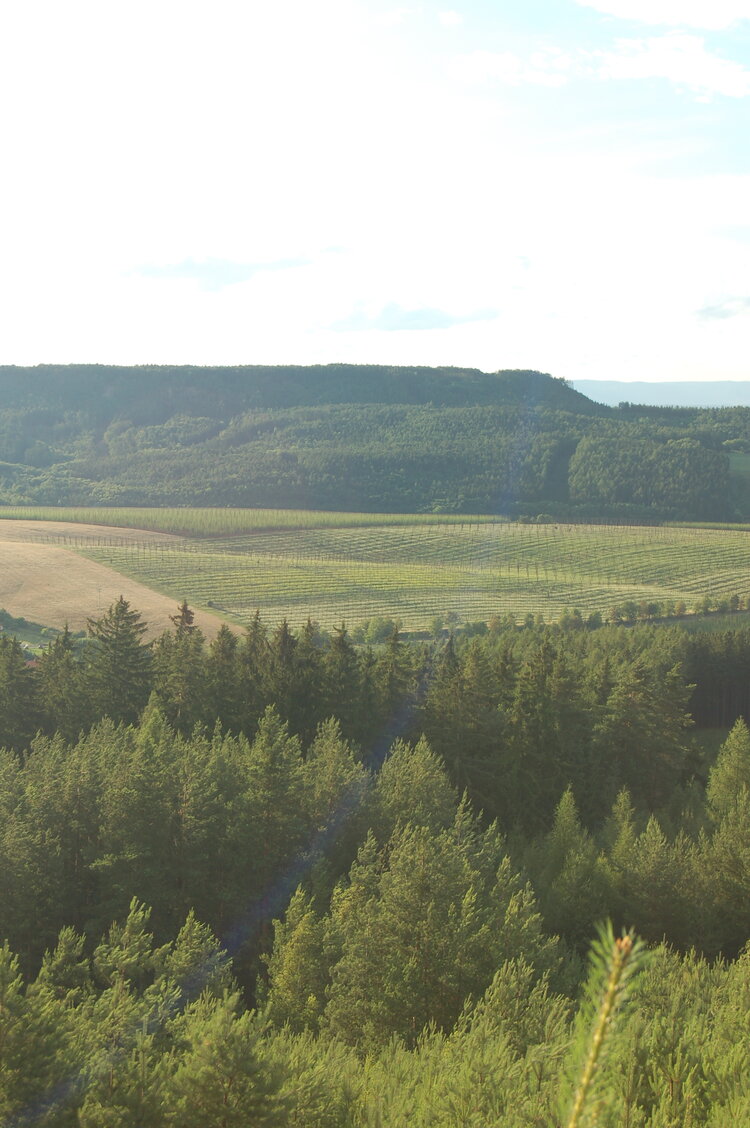 an1_005014.jpg