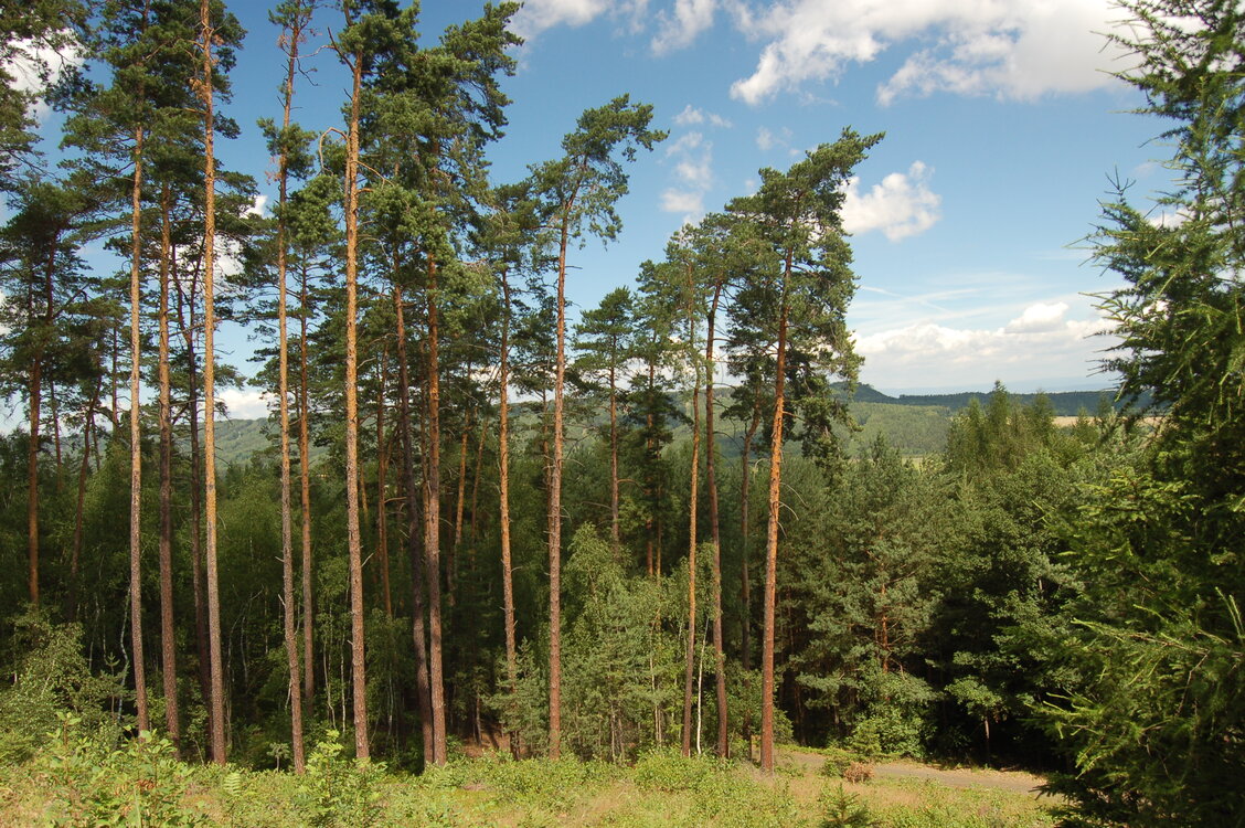 an1_005018.jpg
