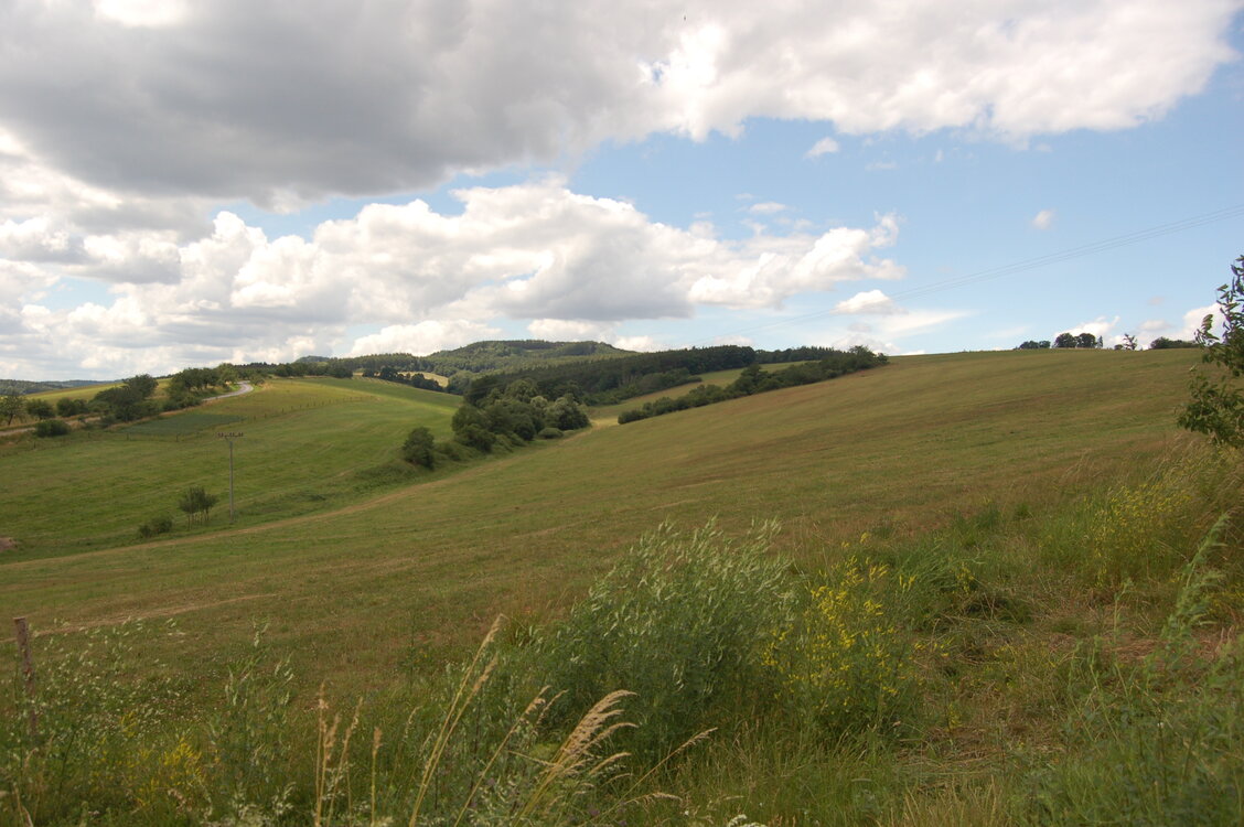 an1_005041.jpg