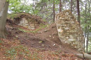 an1_004985.jpg