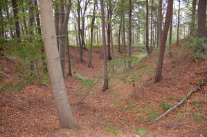 an1_004987.jpg