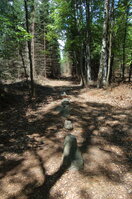 an1_005004.jpg
