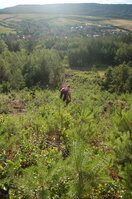 an1_005010.jpg