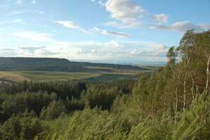 an1_005011.jpg