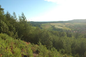 an1_005012.jpg