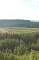 an1_005014.jpg