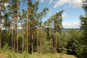 an1_005017.jpg