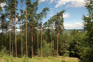 an1_005018.jpg