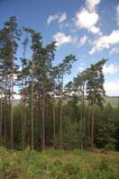 an1_005019.jpg