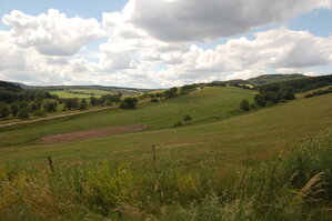 an1_005040.jpg