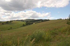an1_005041.jpg
