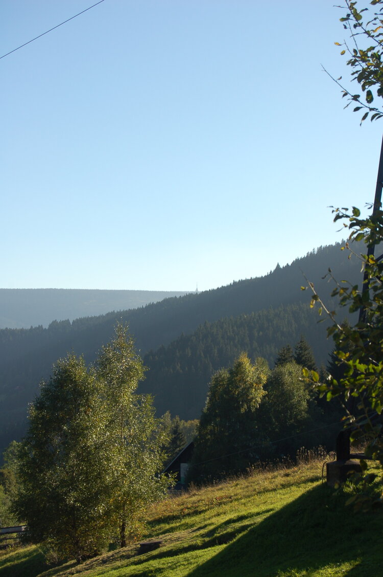 an1_008517.jpg