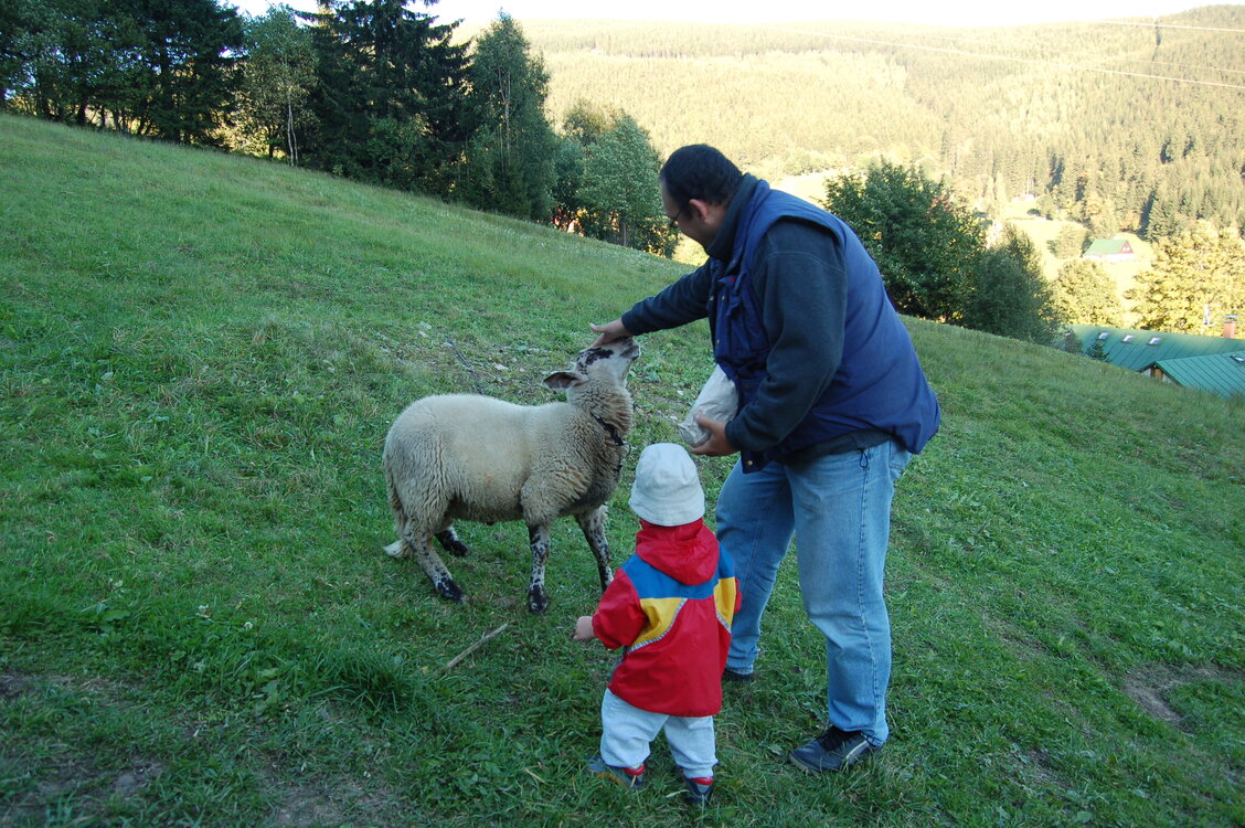 an1_008519.jpg