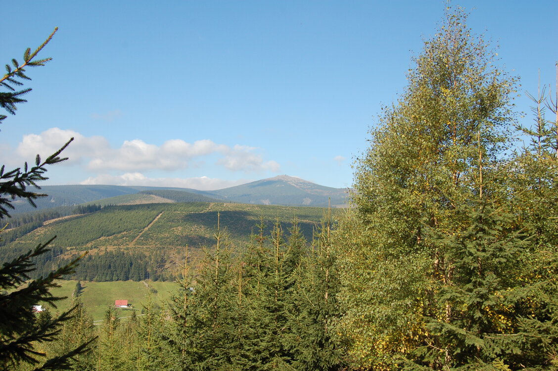 an1_008534.jpg
