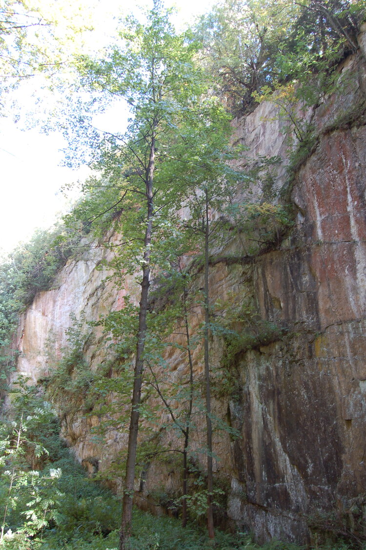 an1_008549.jpg