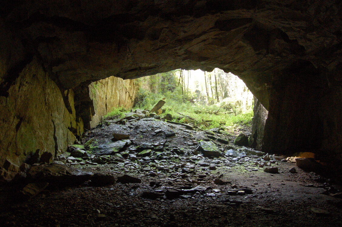 an1_008557.jpg