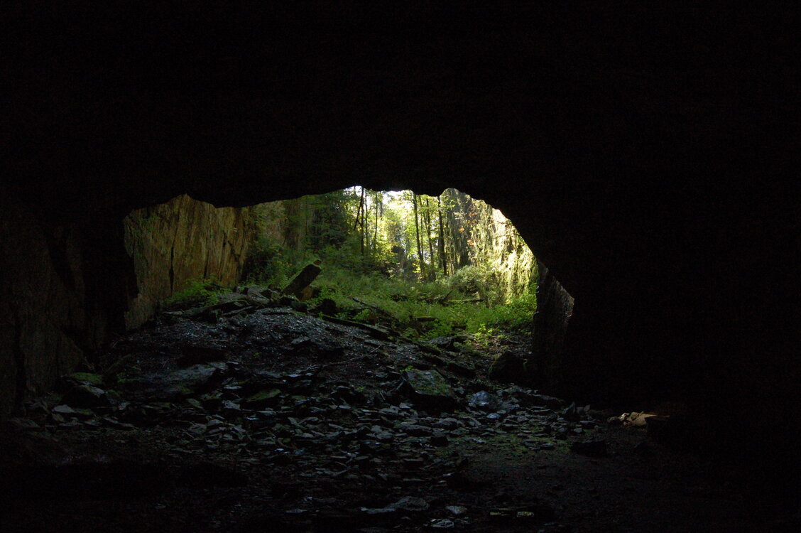 an1_008558.jpg