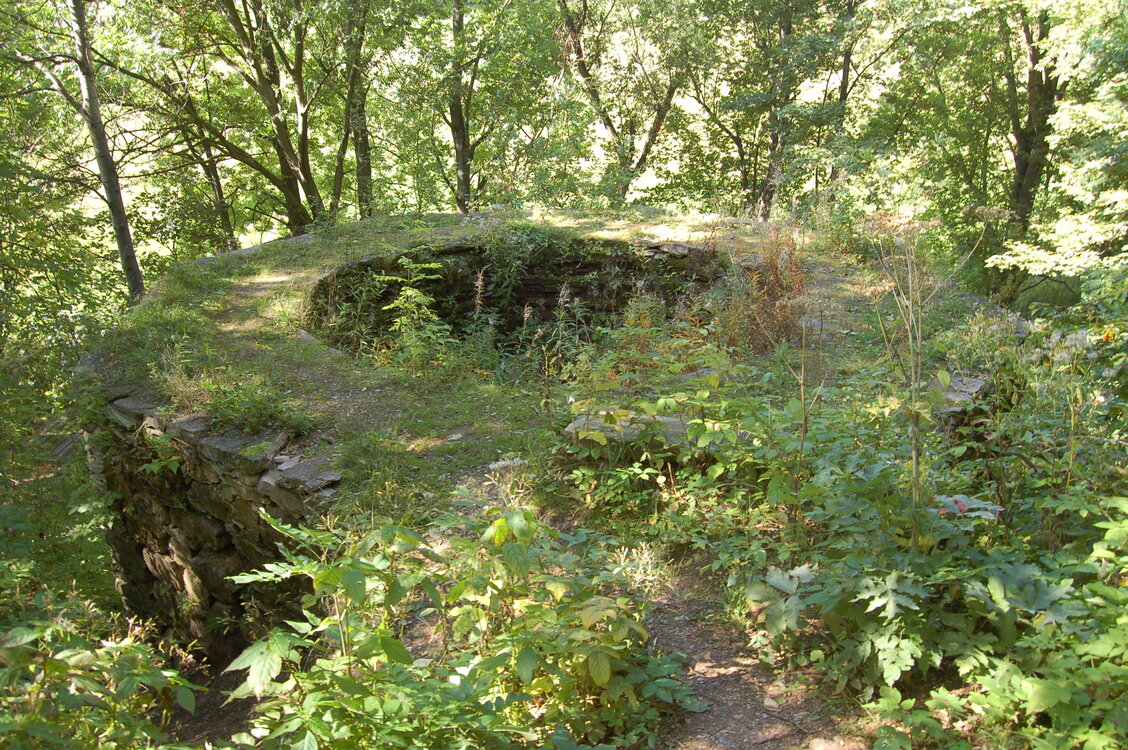 an1_008560.jpg