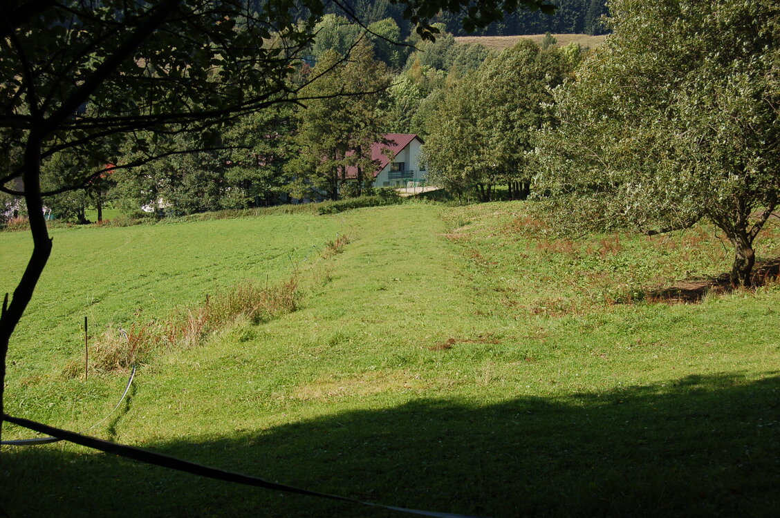 an1_008566.jpg