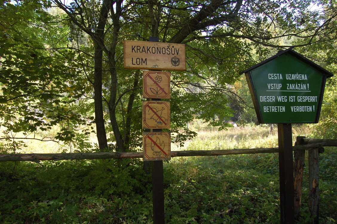 an1_008567.jpg