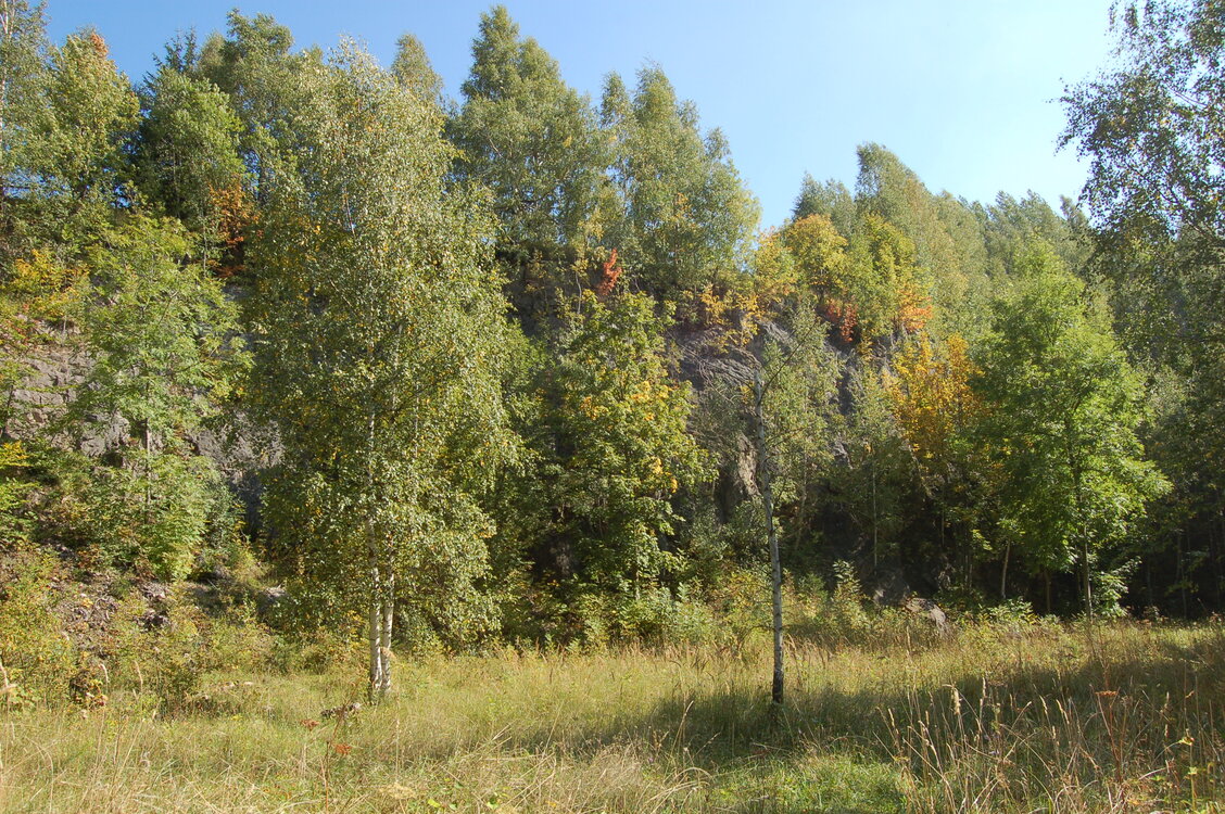 an1_008568.jpg