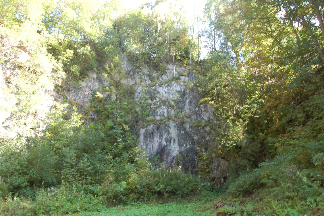 an1_008573.jpg