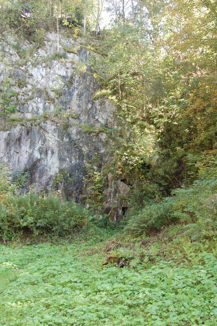 an1_008574.jpg