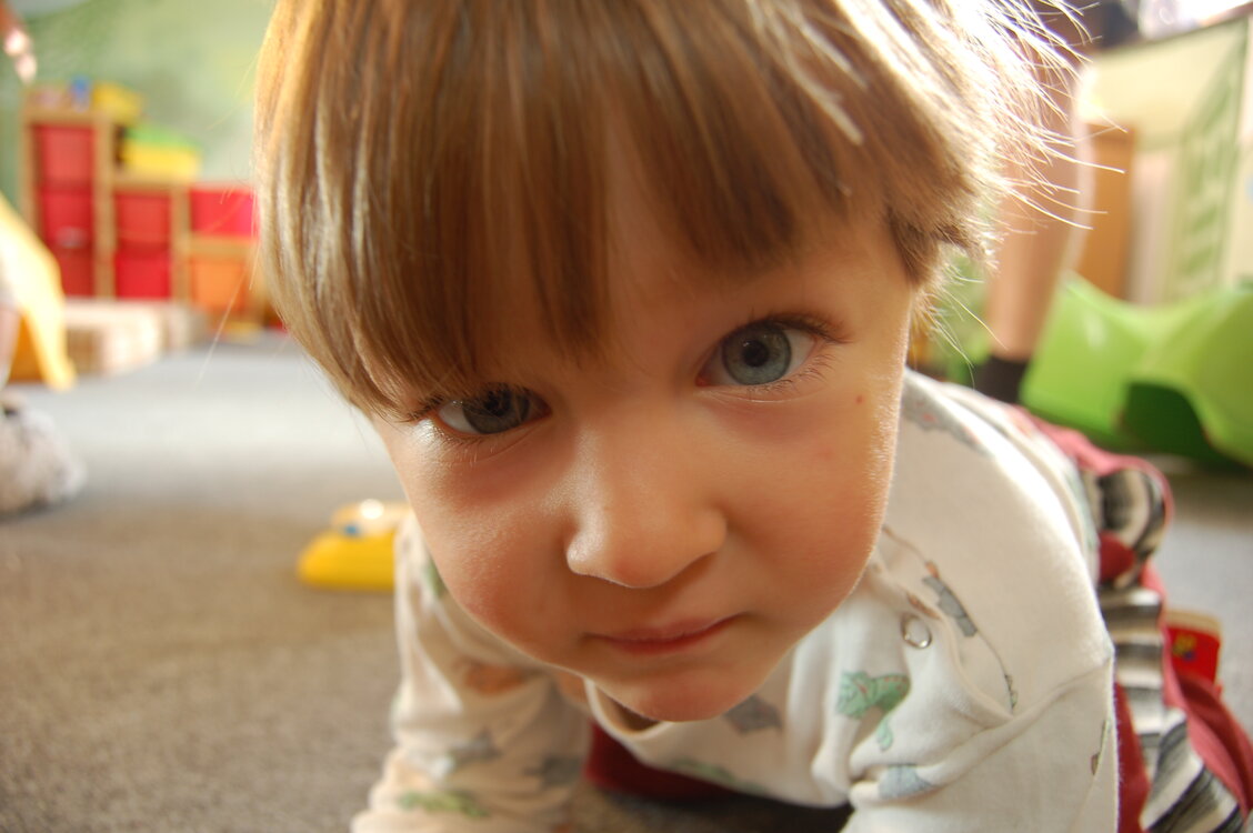 an1_008623.jpg