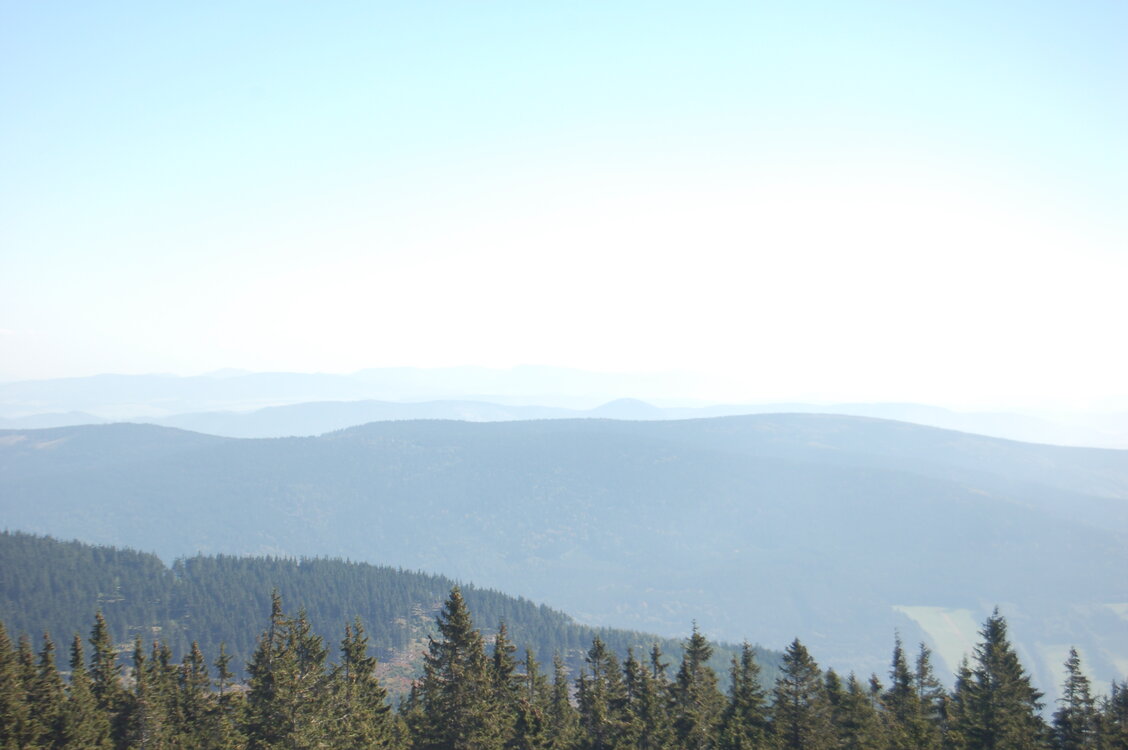an1_008680.jpg