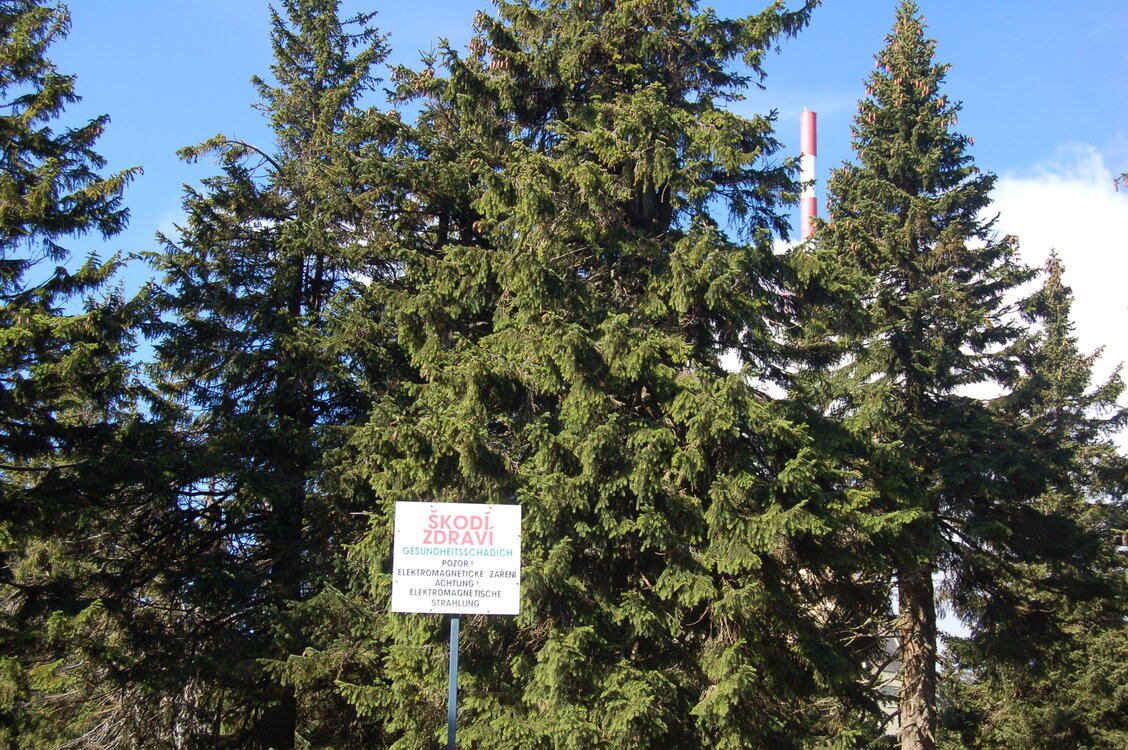 an1_008691.jpg