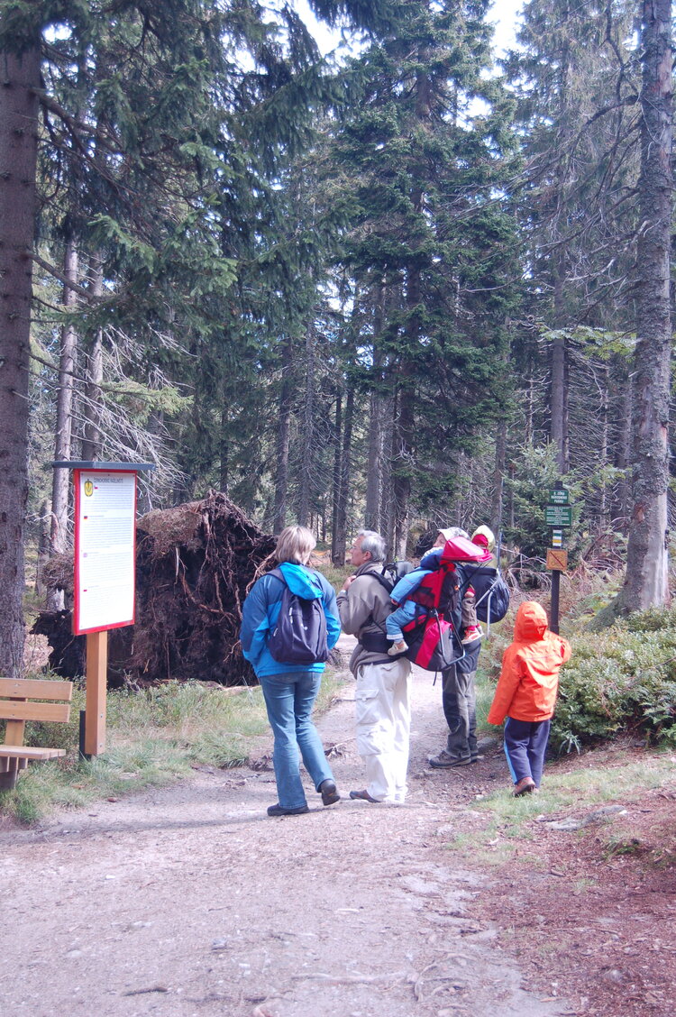 an1_008698.jpg