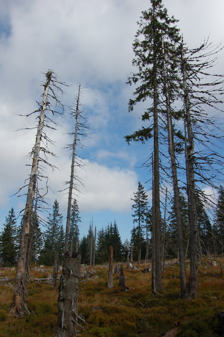 an1_008703.jpg