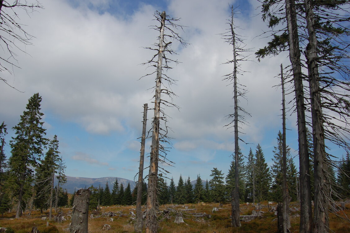 an1_008704.jpg