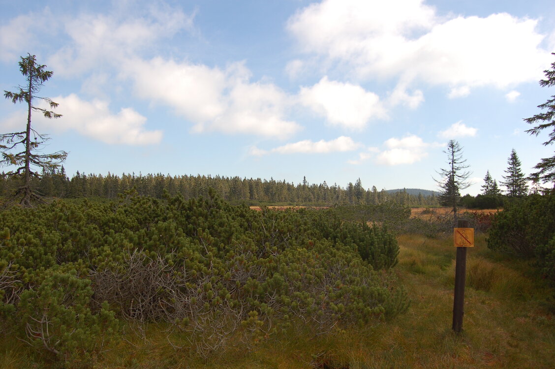 an1_008706.jpg