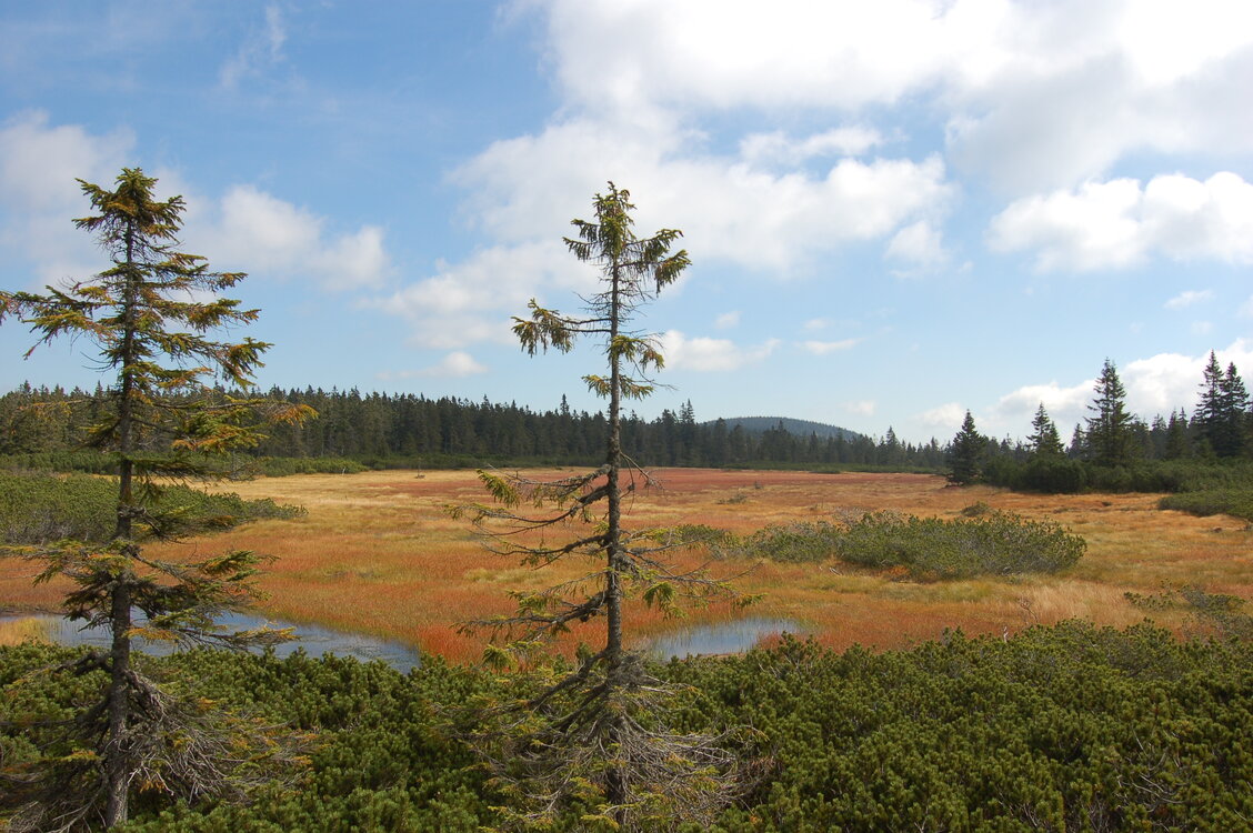 an1_008711.jpg