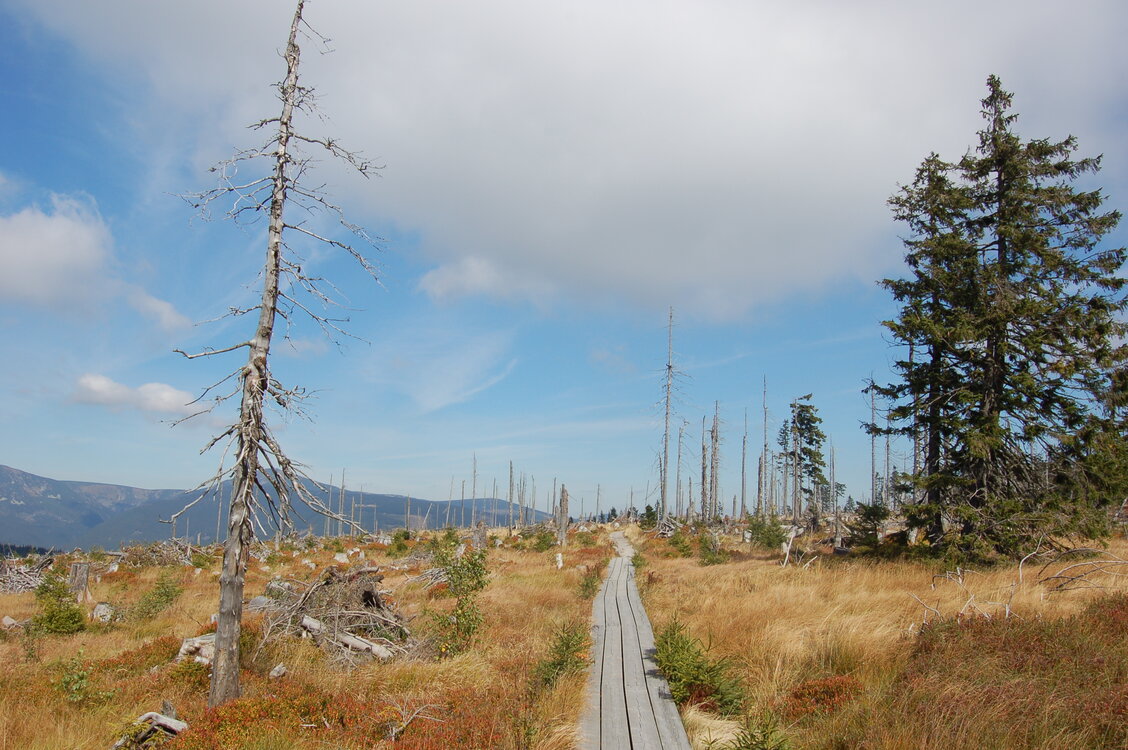 an1_008714.jpg